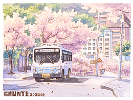 钢笔淡彩 | 樱花