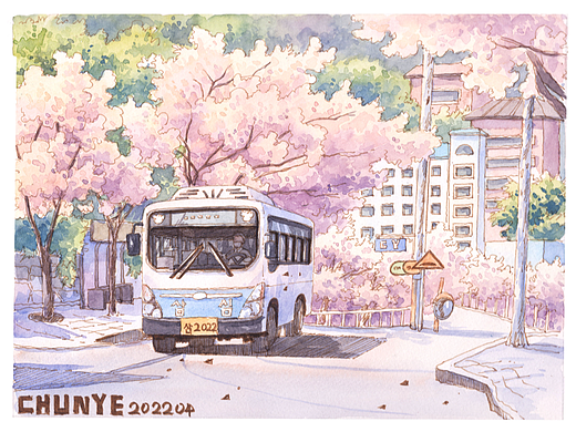 钢笔淡彩 | 樱花