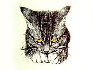 圆珠笔画-动物篇