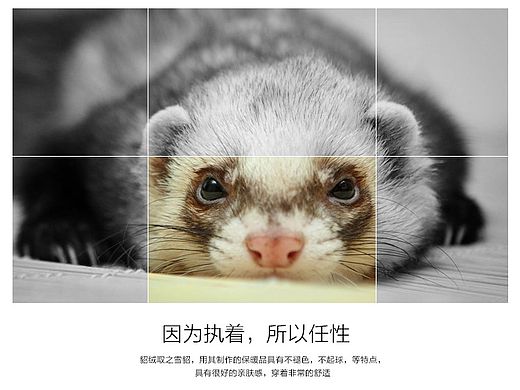 被客户抛弃的服装作品 貂绒大衣