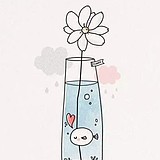 lilieli的头像