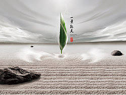 厦门茶叶品牌《雾中天》设计服务——LOGO/包装/海报/画册