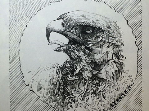 手绘老鹰（个人主页-ZMTkxOTA2MjQ=） - 创作习作 - 站酷设计师KellyLiu爱设计原创素材 - 站酷ZCOOL