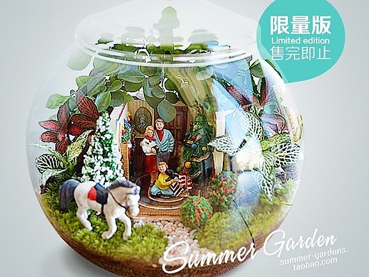 绿植手作--幸福一家主题微景--《夏末花园成长日记33》
