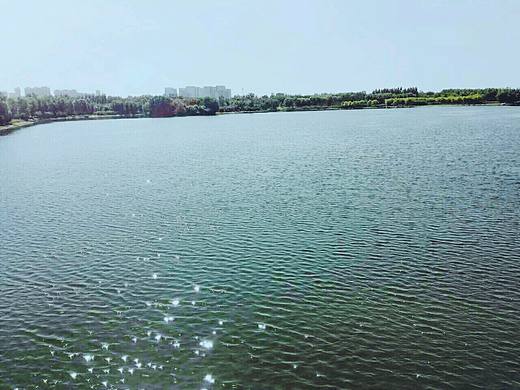 念坛公园  一景 