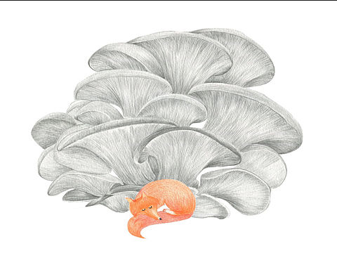 手绘插画