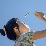 lamiry的头像
