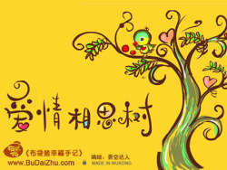 吾空达人—爱情相思树