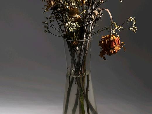 枯花的美（个人主页-ZMzQ3MjMwOTI=） - 产品摄影 - 站酷设计师摄影师阿正原创素材 - 站酷ZCOOL