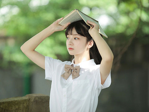 西湖边的梧桐树