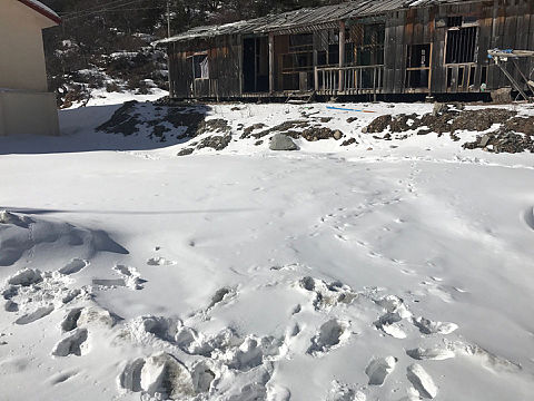 墨脱（个人主页-ZMzIwMTc2OTY=） - 人文/纪实摄影 - 站酷设计师PLA00081原创素材 - 站酷ZCOOL