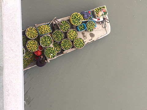 丰收（个人主页-ZMzE1OTI4NjQ=） - 其他摄影 - 站酷设计师黑门艺术学院原创素材 - 站酷ZCOOL