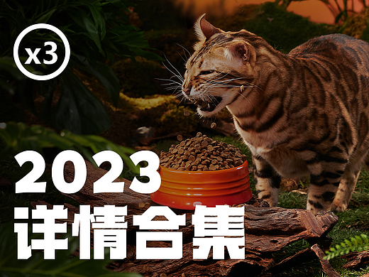 2023宠物详情合集