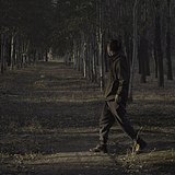 牧了个羊的头像