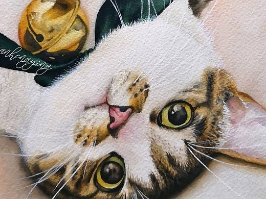 绿丝带～铃铛～猫