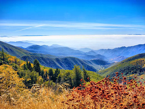 冬秋（个人主页-ZMjQ3NDI0NjQ=） - 风光摄影 - 站酷设计师墨木杉原创素材 - 站酷ZCOOL