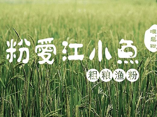 粉爱江小鱼VI设计