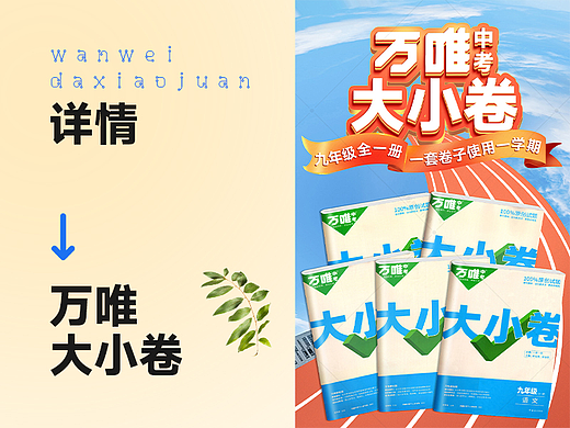 教辅图书《大小卷》详情