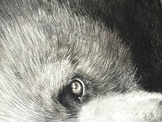 一小时画熊