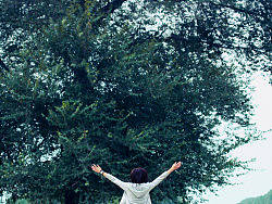 Hug Tree（个人主页-ZMTAxMzMyOA==） - 人像摄影 - 站酷设计师KIDC原创素材 - 站酷ZCOOL