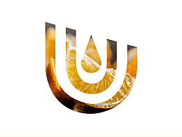 UWIN优蕴·LOGO设计