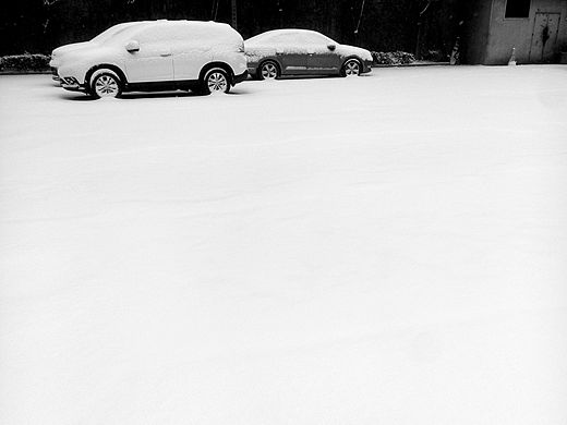 期待许久的大雪