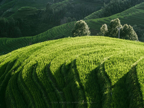 秋风掠过山涧便掀起了一整个夏天