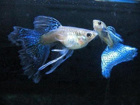 没关系,无论失去了什么,都没关系