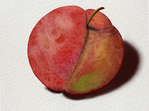 李子和圣女果（个人主页-ZNjA5MDcxNzI=） - 创作习作 - 站酷设计师青苔的青原创素材 - 站酷ZCOOL