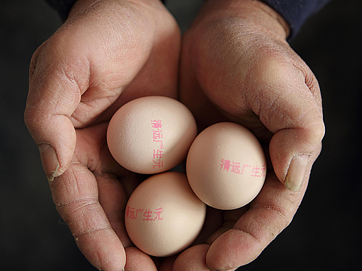 广生元 蛋蛋 人物篇