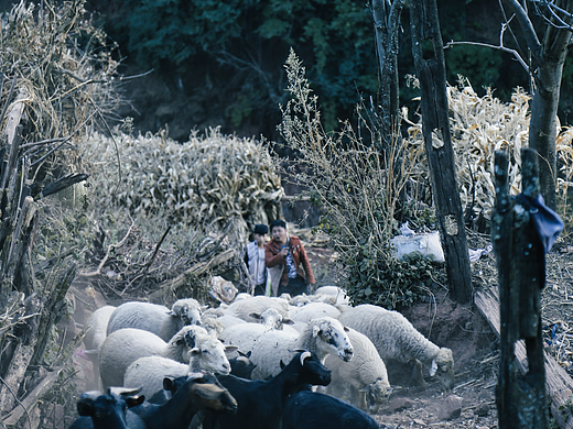 2018年过年撒马冲