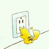 小蚊子编的头像