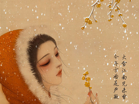二十四节气之～大雪（原创古风插画）