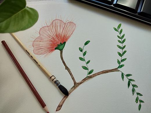 每日一堅持（個人主頁-ZMjk5NzM1NTI=） - 創(chuàng)作習(xí)作 - 站酷設(shè)計師肉肉的小橙橙原創(chuàng)素材 - 站酷ZCOOL