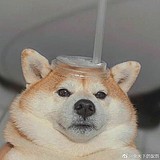 阿点Adian的头像
