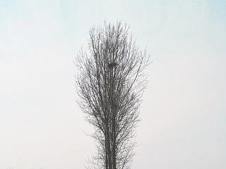 年初的步伐（个人主页-ZNzQ0OTg3Ng==） - 其他摄影 - 站酷设计师旁一原创素材 - 站酷ZCOOL