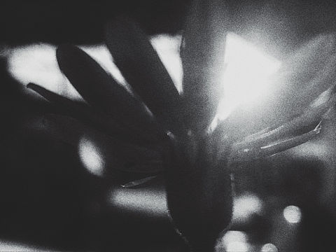 逛公園（個(gè)人主頁-ZNDA4ODQ4NDg=） - 人文/紀(jì)實(shí)攝影 - 站酷設(shè)計(jì)師是大仙呀原創(chuàng)素材 - 站酷ZCOOL