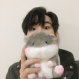 蒲厦的头像