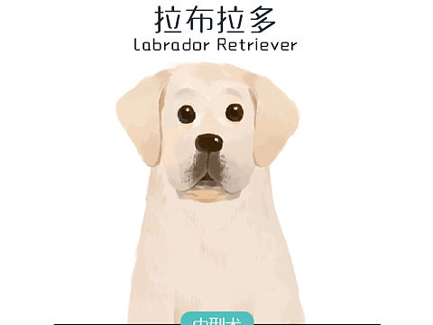 狗狗的科普