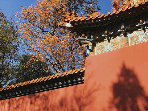 红墙绿瓦