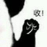 温酒斩乱麻的头像