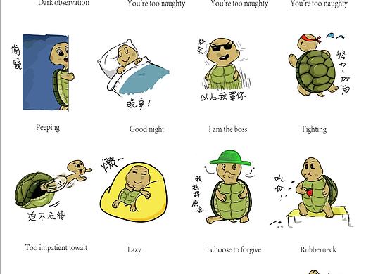 小龟的小小世界