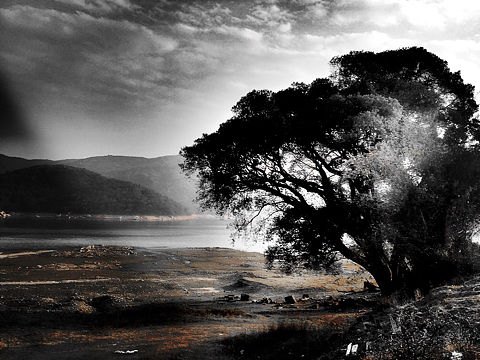 鄉色/斑驳记忆...