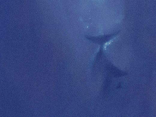 34 深海（個人主頁-ZNjE5NTI0ODg=） - 藝術插畫 - 站酷設計師莉溫特原創(chuàng)素材 - 站酷ZCOOL