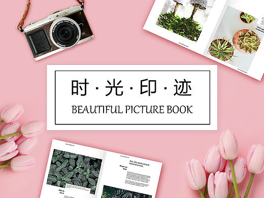 网站