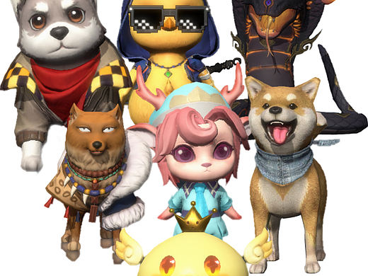 《九门宠物》宠物们的自我介绍