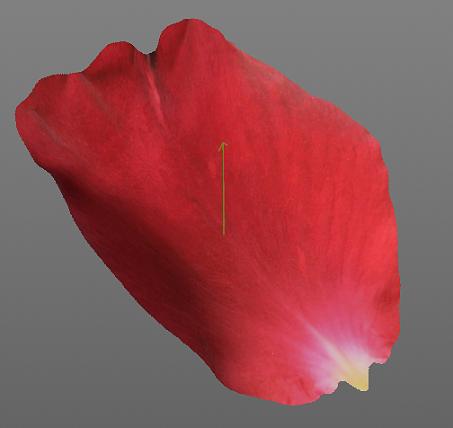 玫瑰花瓣:rose: