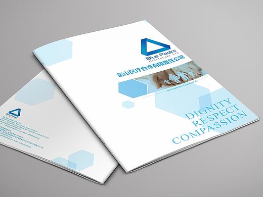 蓝山医疗器械宣传画册