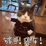 心里的小宇宙的头像