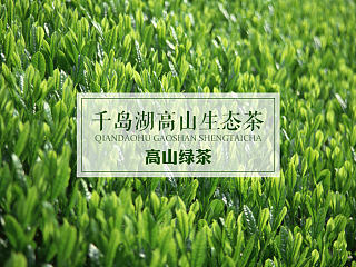 茶叶详情页